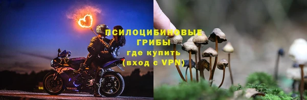 дурь Абдулино
