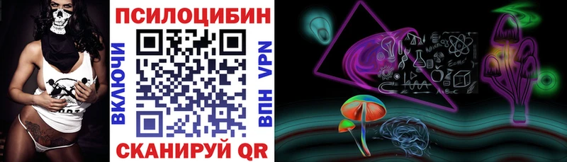 дарнет шоп  Мостовской  Галлюциногенные грибы Psilocybine cubensis 